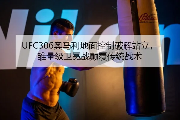 ao-ma-li-di-mian-kong-zhi-po-jie-zhan-li-chu-liang-ji-wei-mian-zhan-dian-fu-chuan-tong-zhan-shu-3-310.jpg