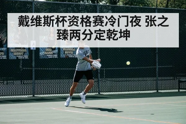 戴维斯杯资格赛冷门夜 张之臻两分定乾坤