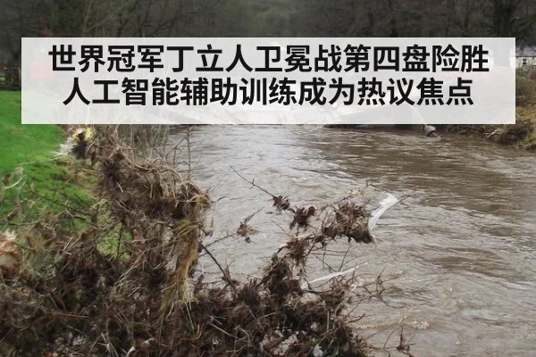 世界冠军丁立人卫冕战第四盘险胜 人工智能辅助训练成为热议焦点